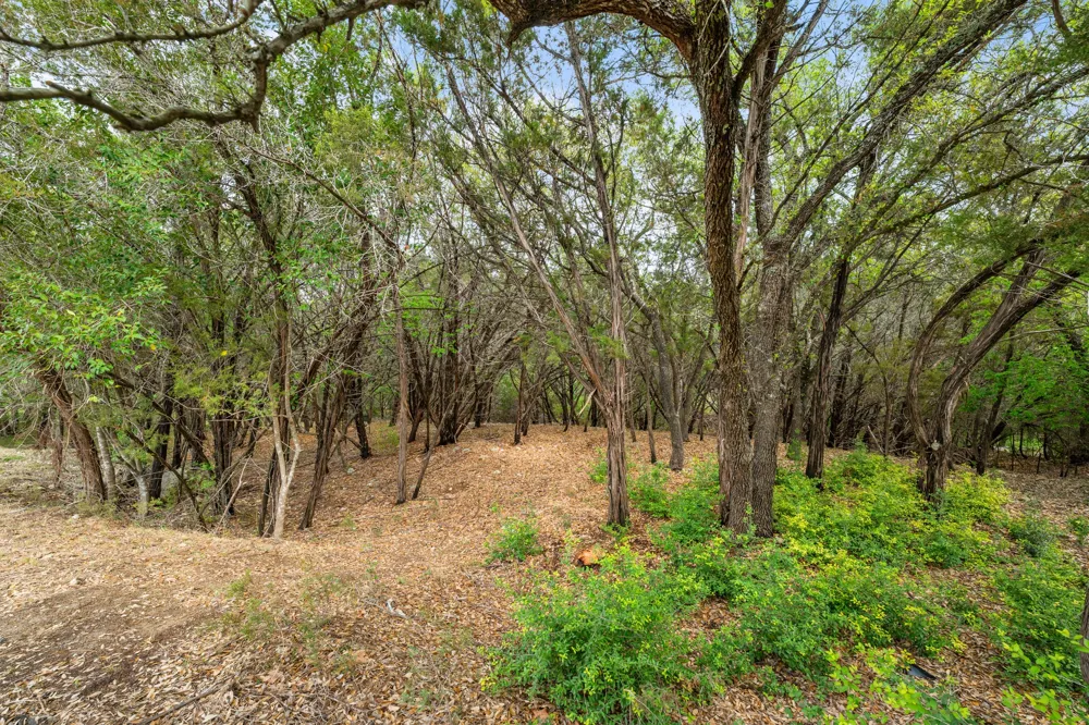 1707 Lipan Trail Austin, TX 78733