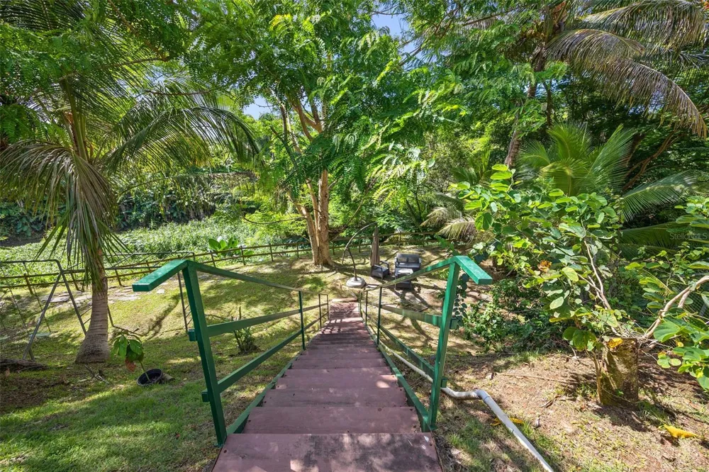 Palma Real PALMA DE COCO Guaynabo, PR 00966