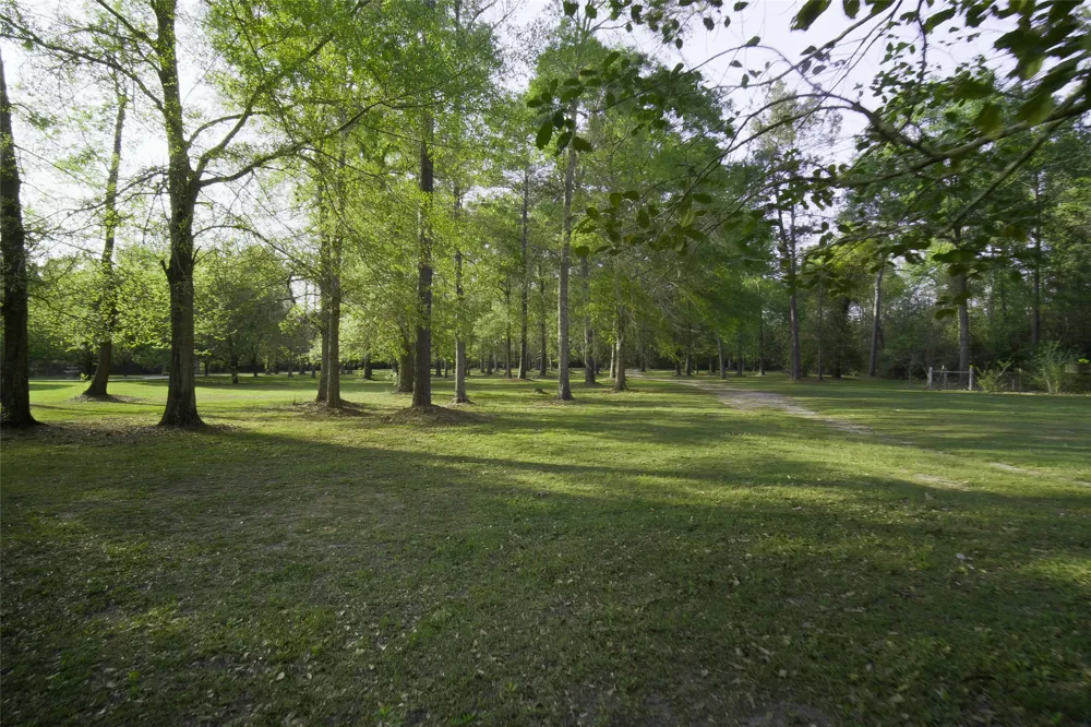 1815 Fm 82 Newton, TX 75956