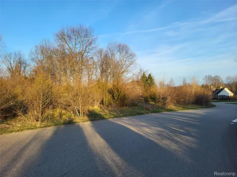 Olivia Drive