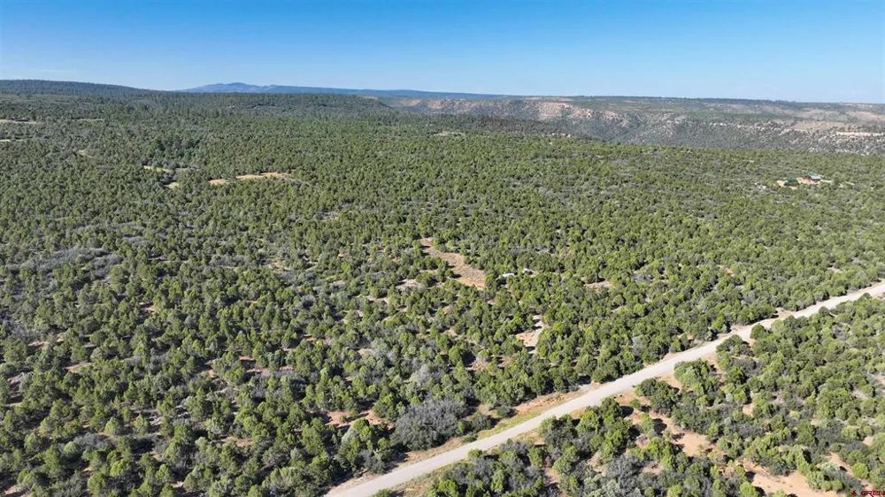 246 La Mesa Vista Drive Norwood, CO 81423