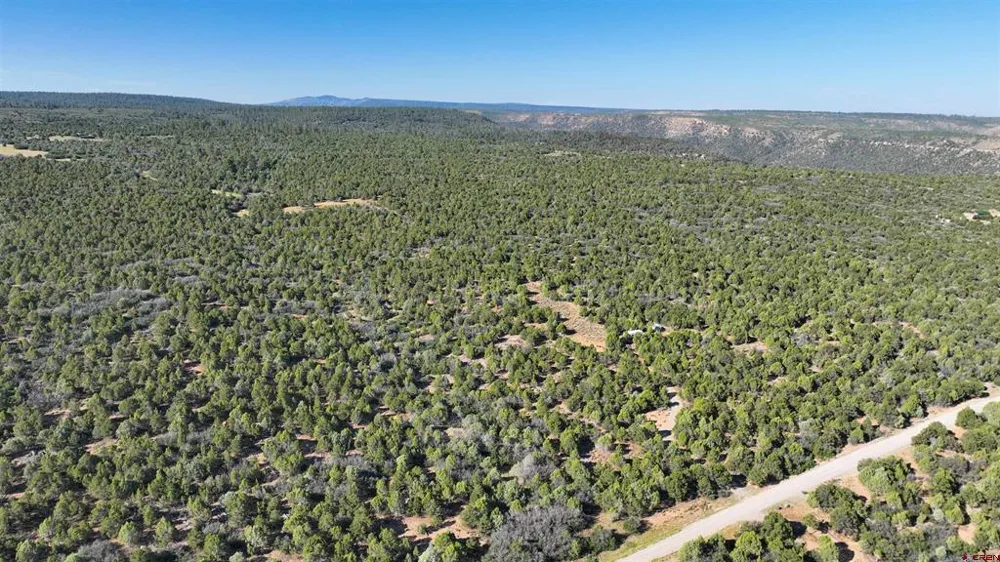 246 La Mesa Vista Drive Norwood, CO 81423