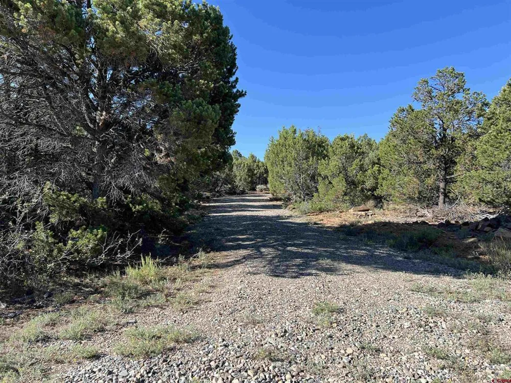 246 La Mesa Vista Drive Norwood, CO 81423