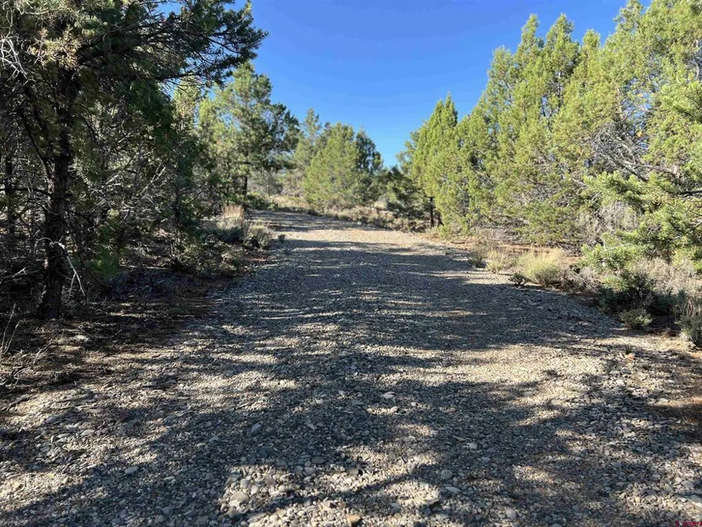 246 La Mesa Vista Drive Norwood, CO 81423