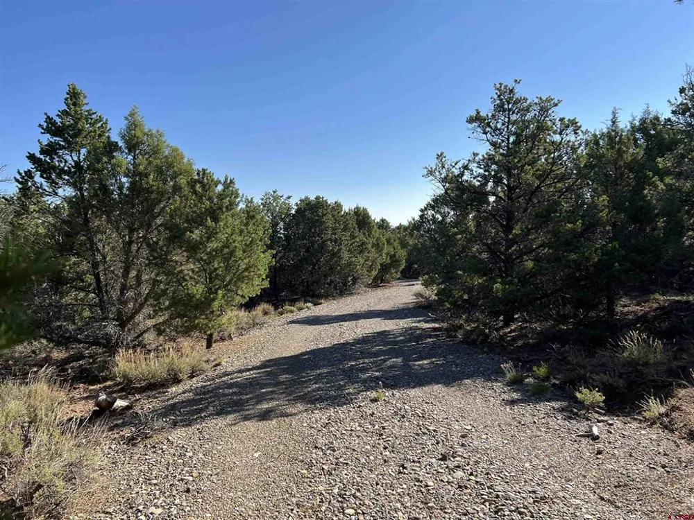 246 La Mesa Vista Drive Norwood, CO 81423