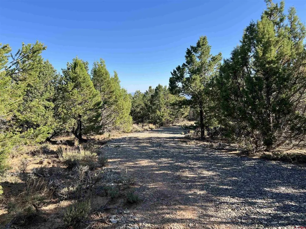 246 La Mesa Vista Drive Norwood, CO 81423