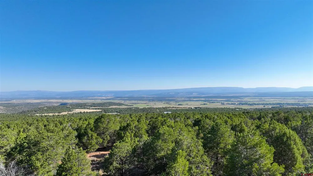 246 La Mesa Vista Drive Norwood, CO 81423