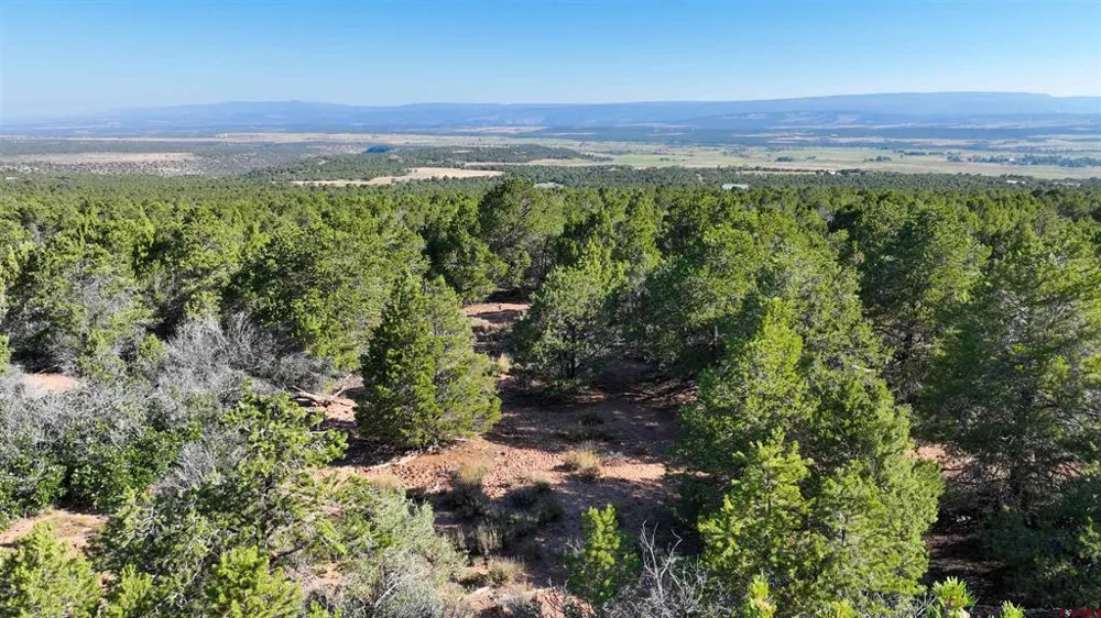 246 La Mesa Vista Drive Norwood, CO 81423