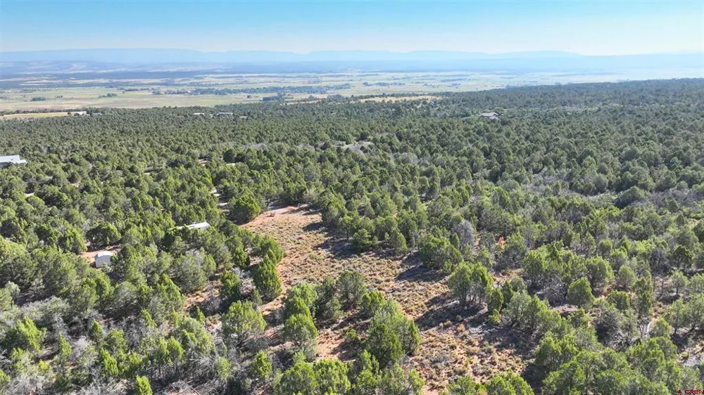 246 La Mesa Vista Drive Norwood, CO 81423