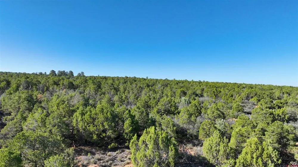 246 La Mesa Vista Drive Norwood, CO 81423