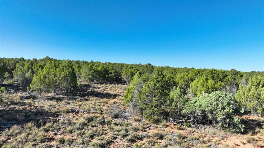 246 La Mesa Vista Drive Norwood, CO 81423