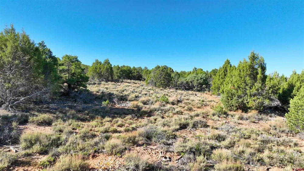 246 La Mesa Vista Drive Norwood, CO 81423