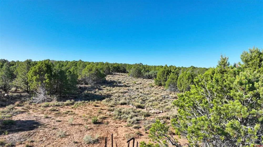 246 La Mesa Vista Drive Norwood, CO 81423