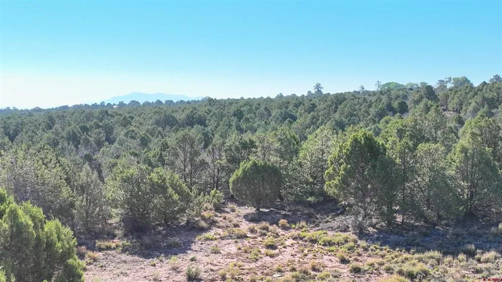 246 La Mesa Vista Drive Norwood, CO 81423