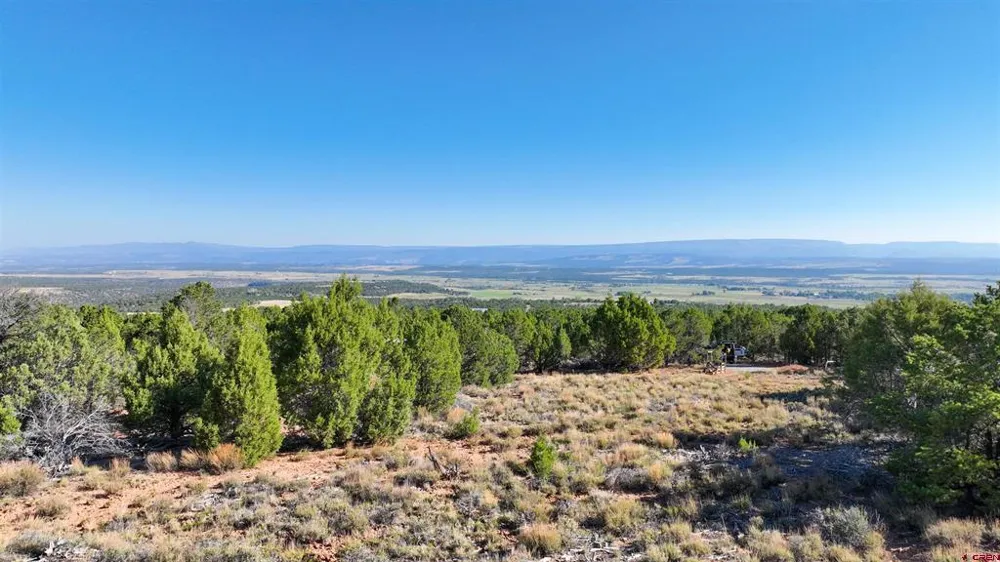 246 La Mesa Vista Drive Norwood, CO 81423