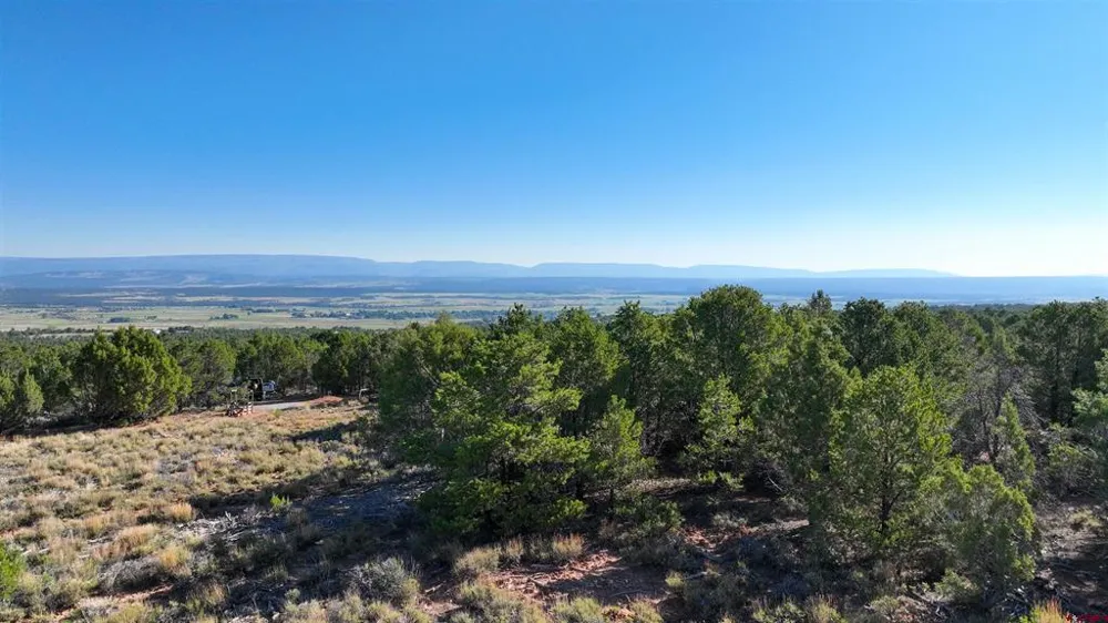 246 La Mesa Vista Drive Norwood, CO 81423