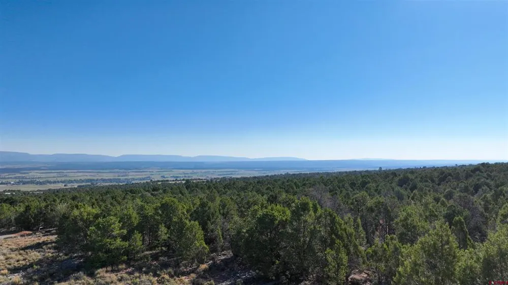 246 La Mesa Vista Drive Norwood, CO 81423