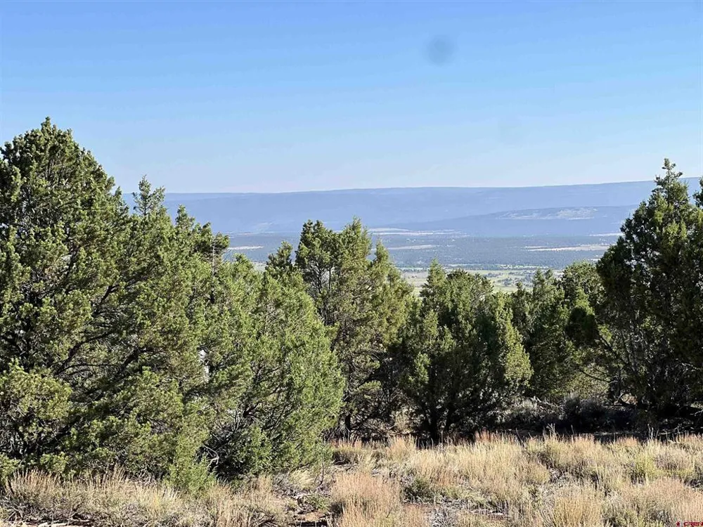 246 La Mesa Vista Drive Norwood, CO 81423