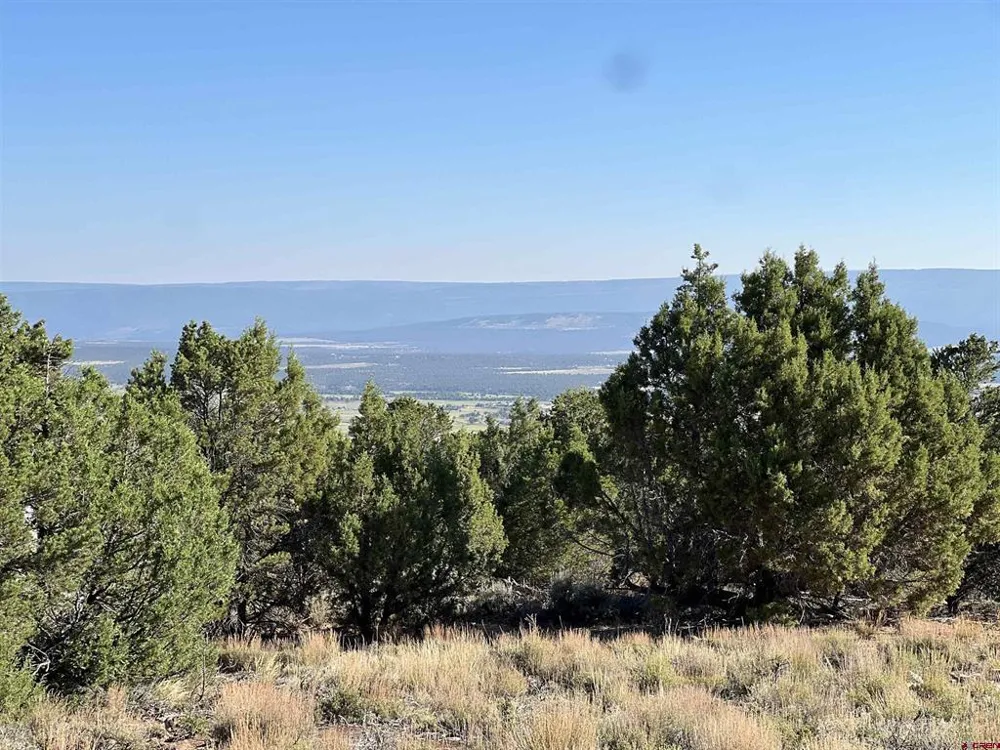 246 La Mesa Vista Drive Norwood, CO 81423
