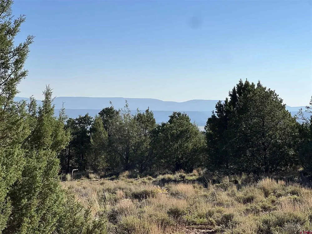 246 La Mesa Vista Drive Norwood, CO 81423