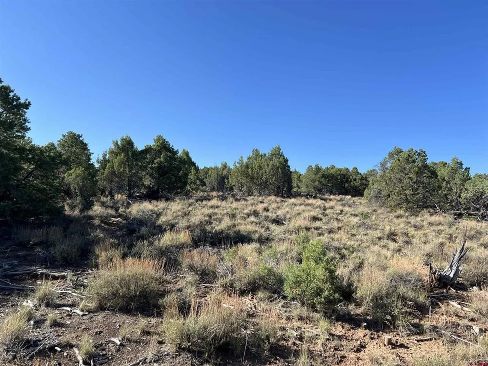 246 La Mesa Vista Drive Norwood, CO 81423