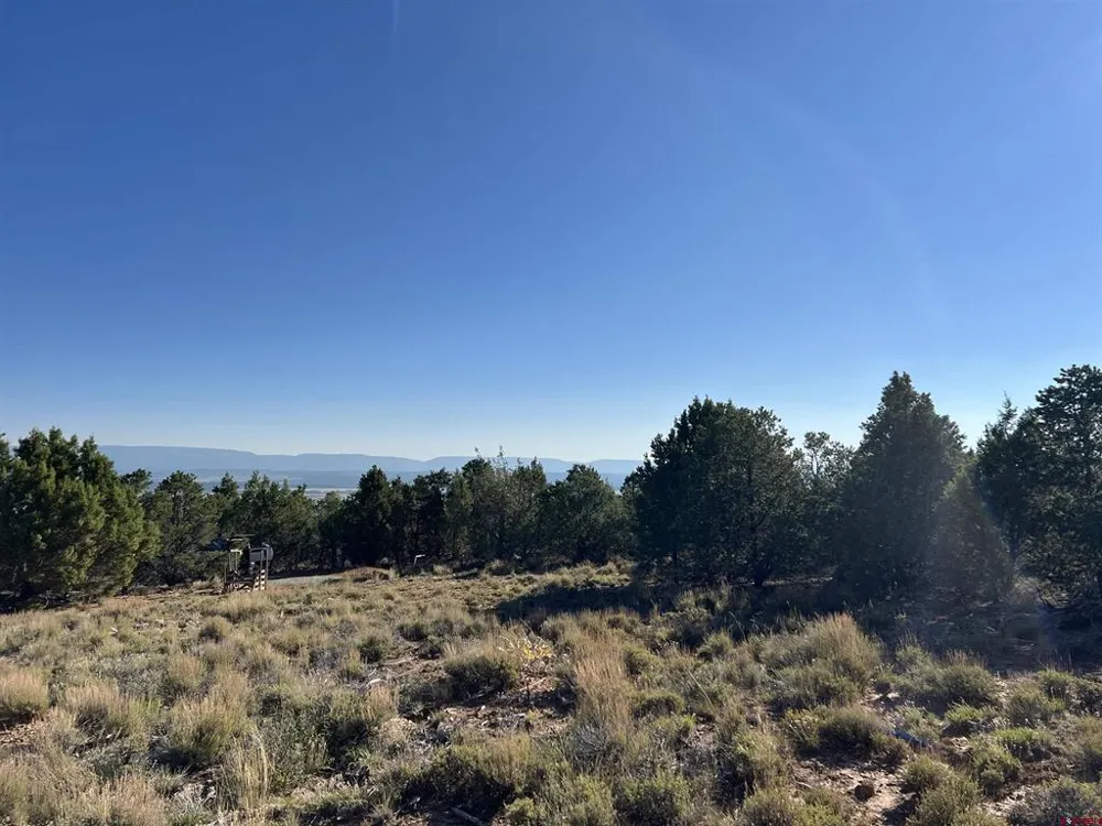 246 La Mesa Vista Drive Norwood, CO 81423