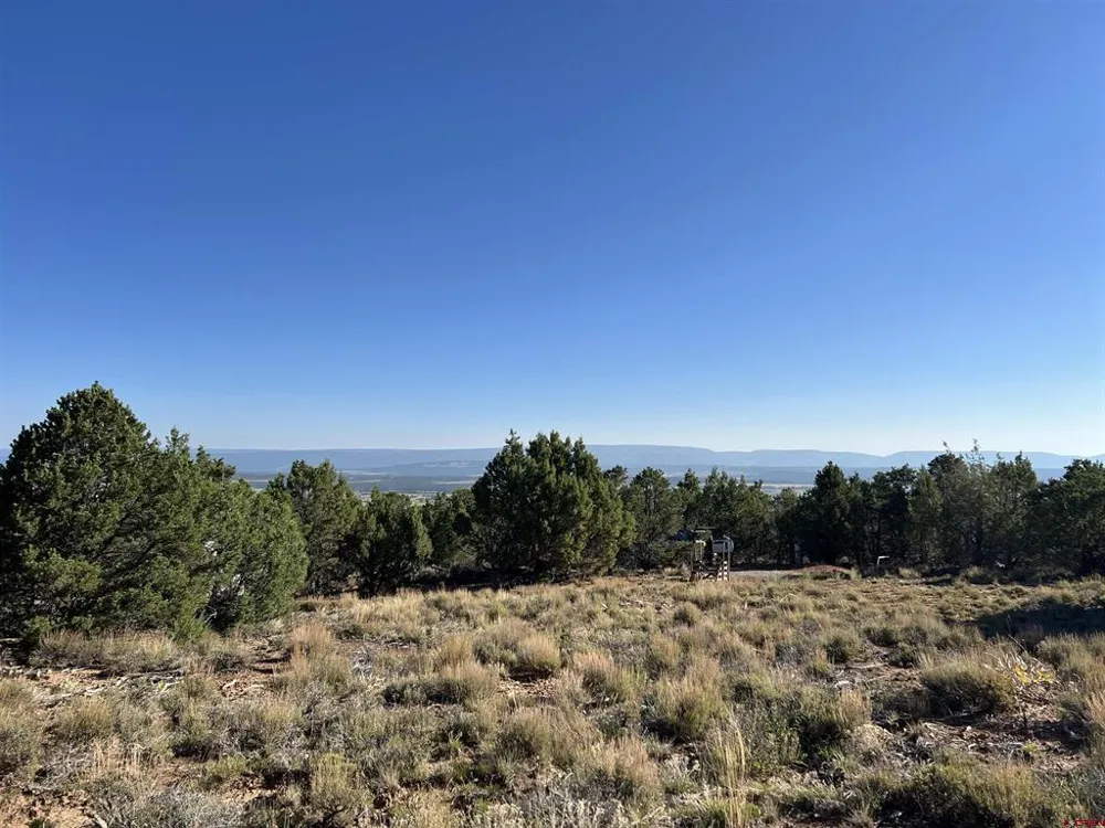 246 La Mesa Vista Drive Norwood, CO 81423