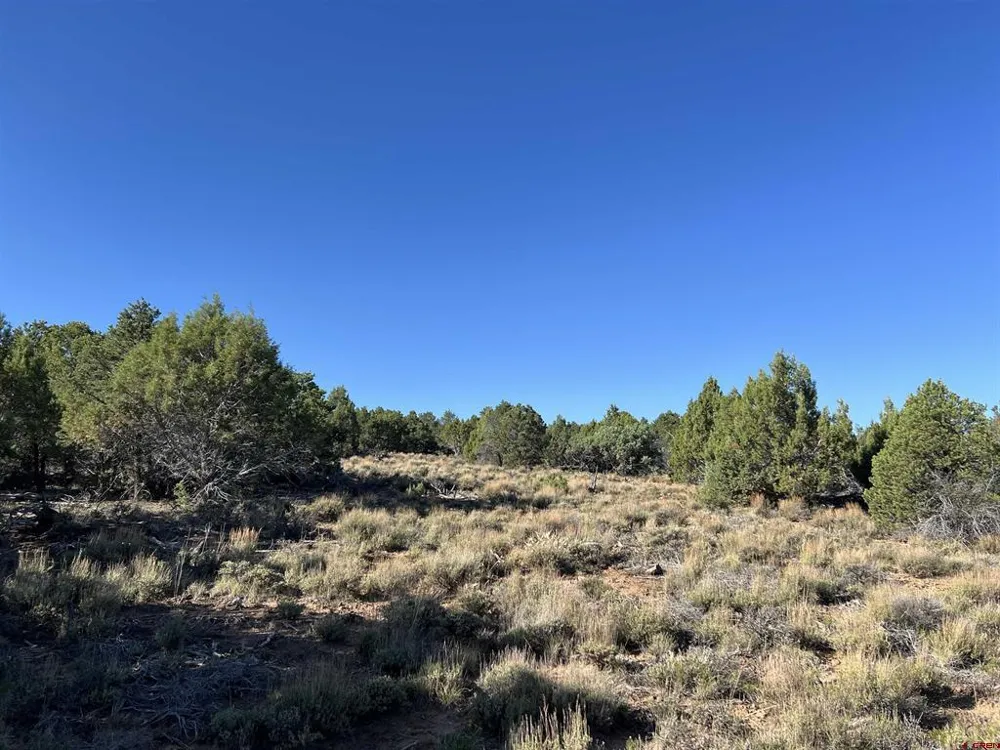 246 La Mesa Vista Drive Norwood, CO 81423