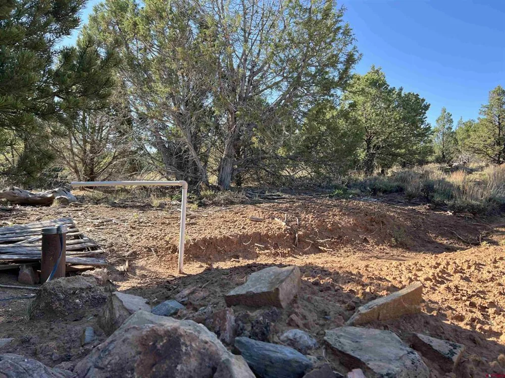 246 La Mesa Vista Drive Norwood, CO 81423