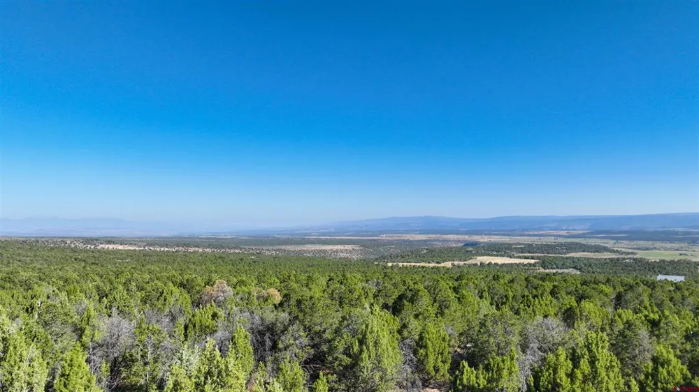 246 La Mesa Vista Drive Norwood, CO 81423