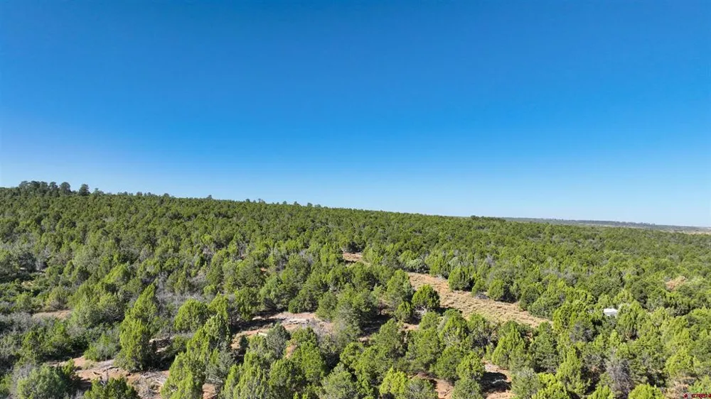 246 La Mesa Vista Drive Norwood, CO 81423