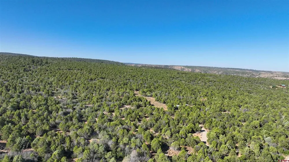 246 La Mesa Vista Drive Norwood, CO 81423