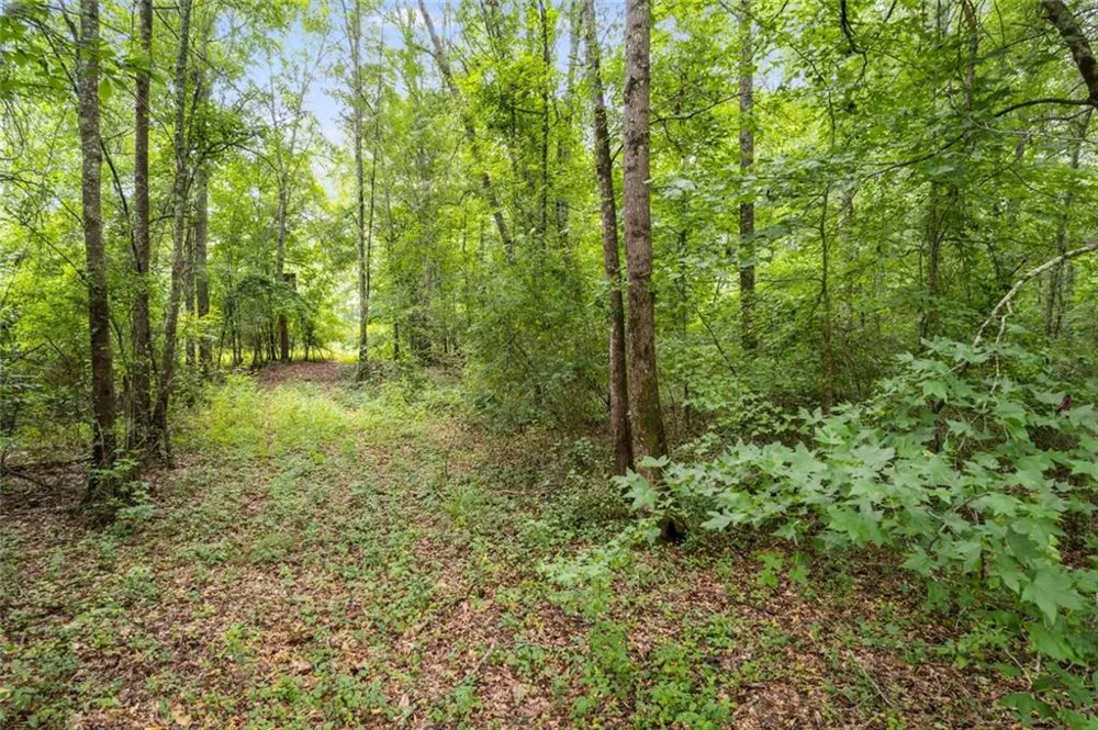 104 Martin Cemetary Road Carrollton, GA 30117