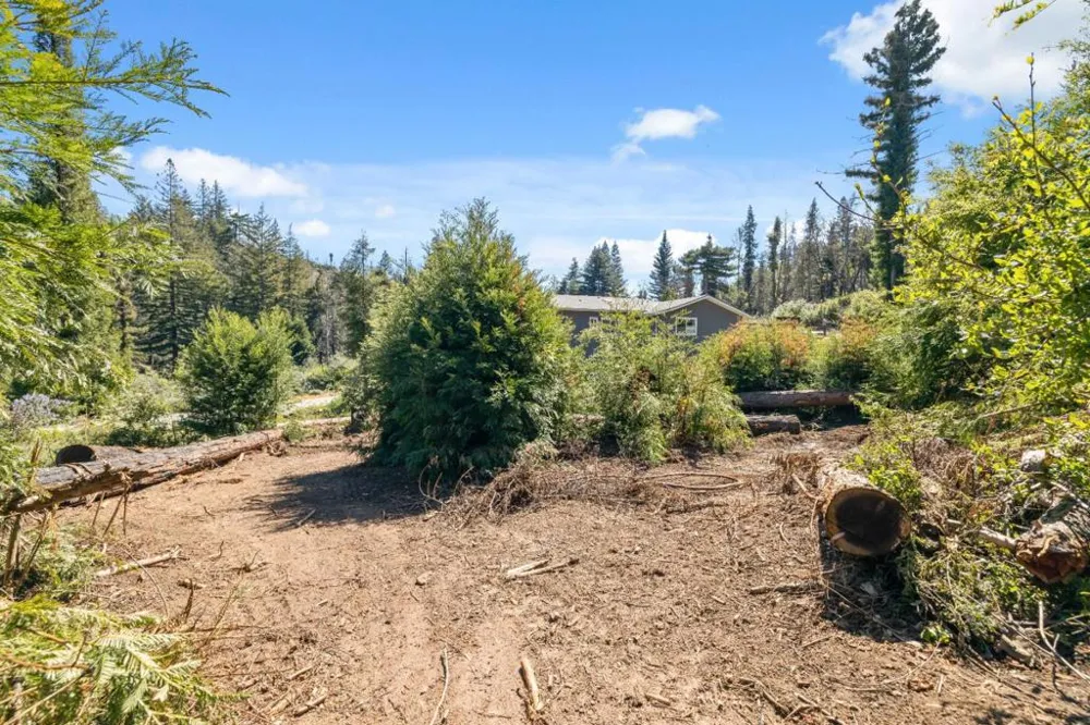 122 Cypress Tree Lane Boulder Creek, CA 95006