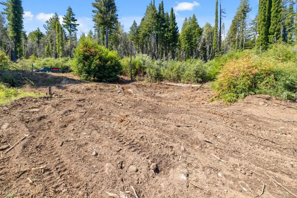 122 Cypress Tree Lane Boulder Creek, CA 95006