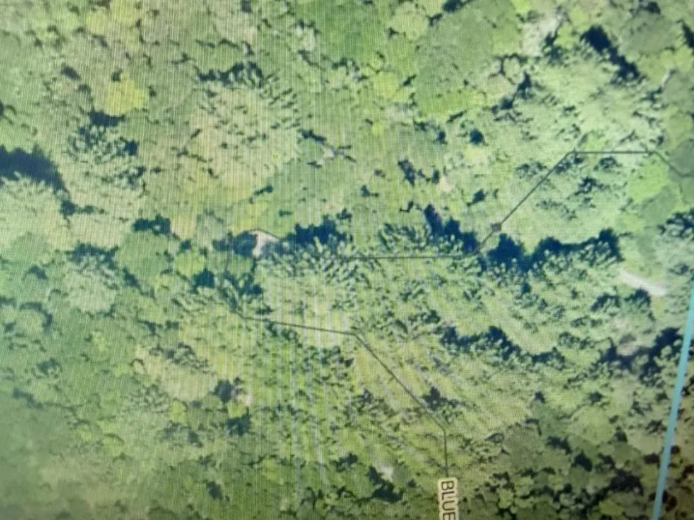 7517202 Vacant Land (APN 075-172-02) Felton, CA 95018