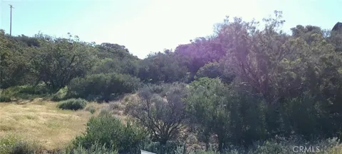 Lake Canyon