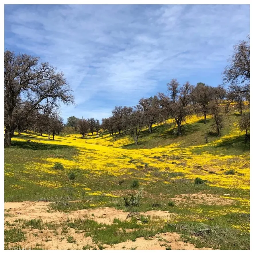 34707 Sand Canyon Rd Caliente, CA 93518