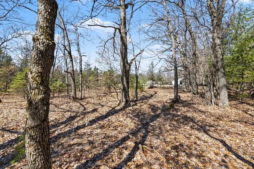 14481 Coates Highway Brethren, MI 49619