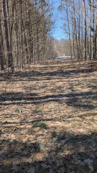 14441 Woods Trail #65 Springdale Township, MI 49683