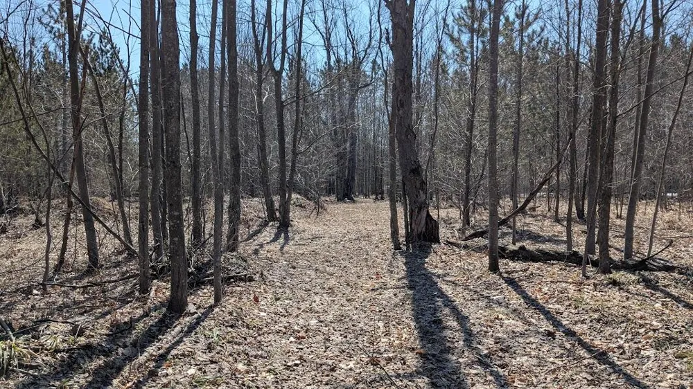 14441 Woods Trail #65 Springdale Township, MI 49683