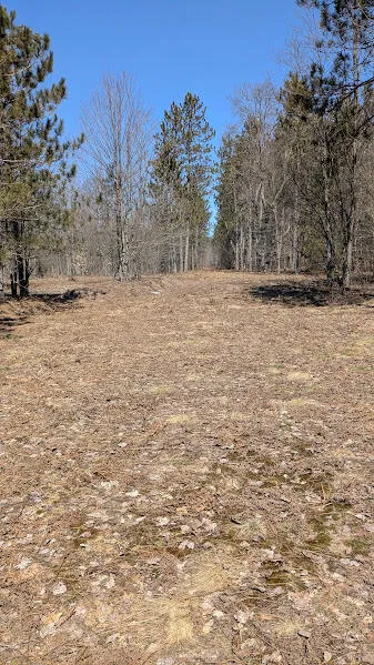 14441 Woods Trail #65 Springdale Township, MI 49683