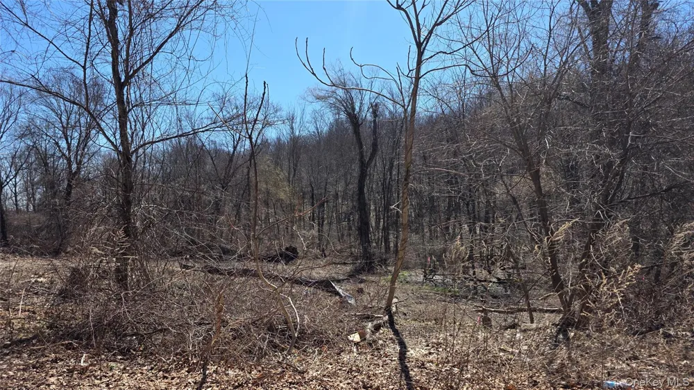 91 Barrett Hill Road Carmel, NY 10512