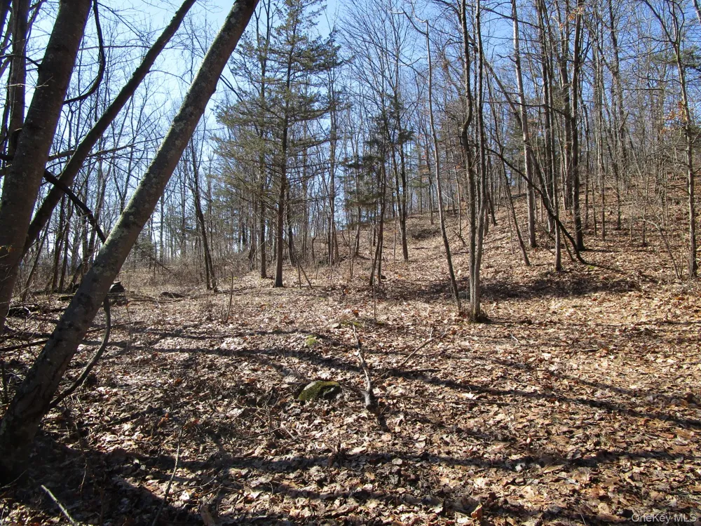 Co Rt 12 New Hampton, NY 10958
