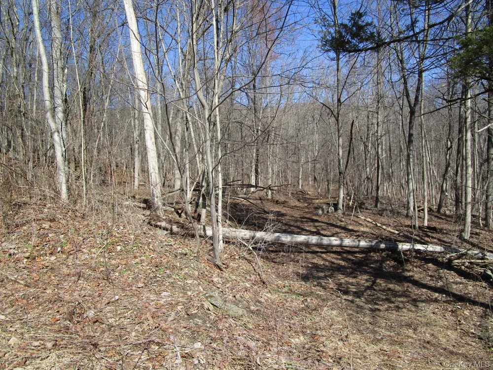 Co Rt 12 New Hampton, NY 10958