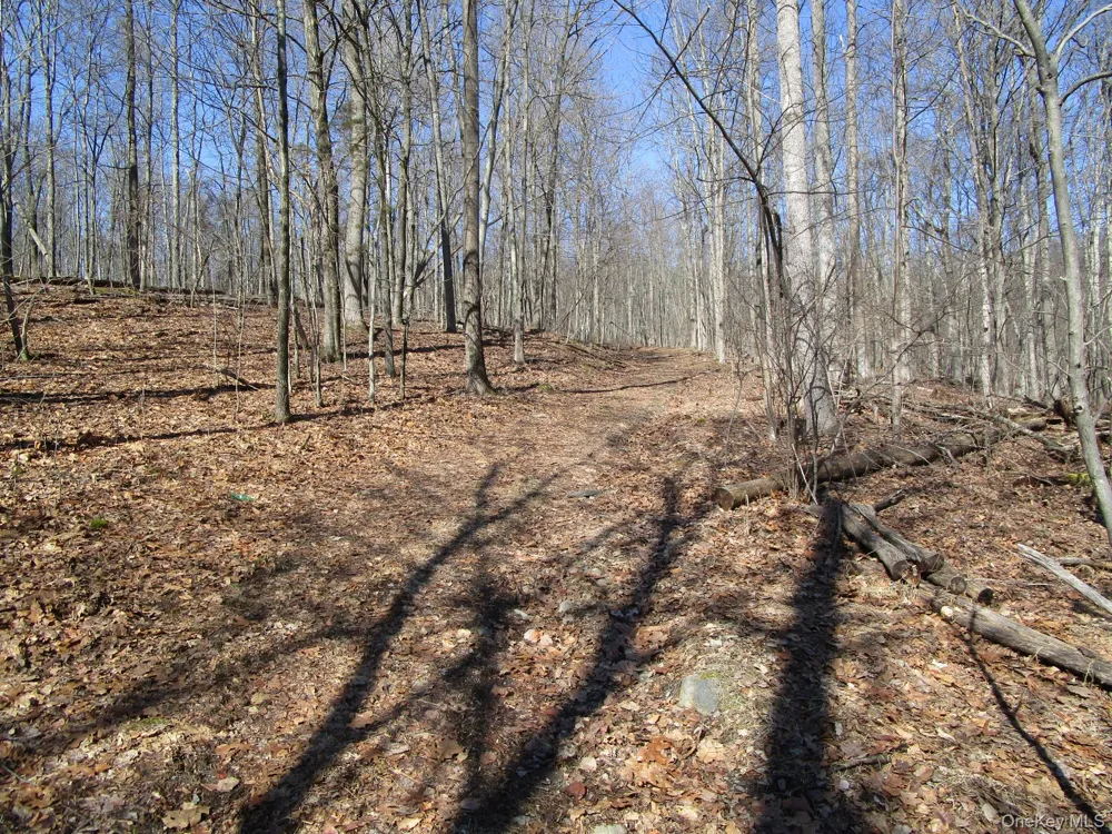 Co Rt 12 New Hampton, NY 10958