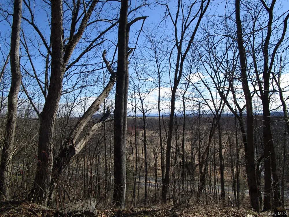 Co Rt 12 New Hampton, NY 10958