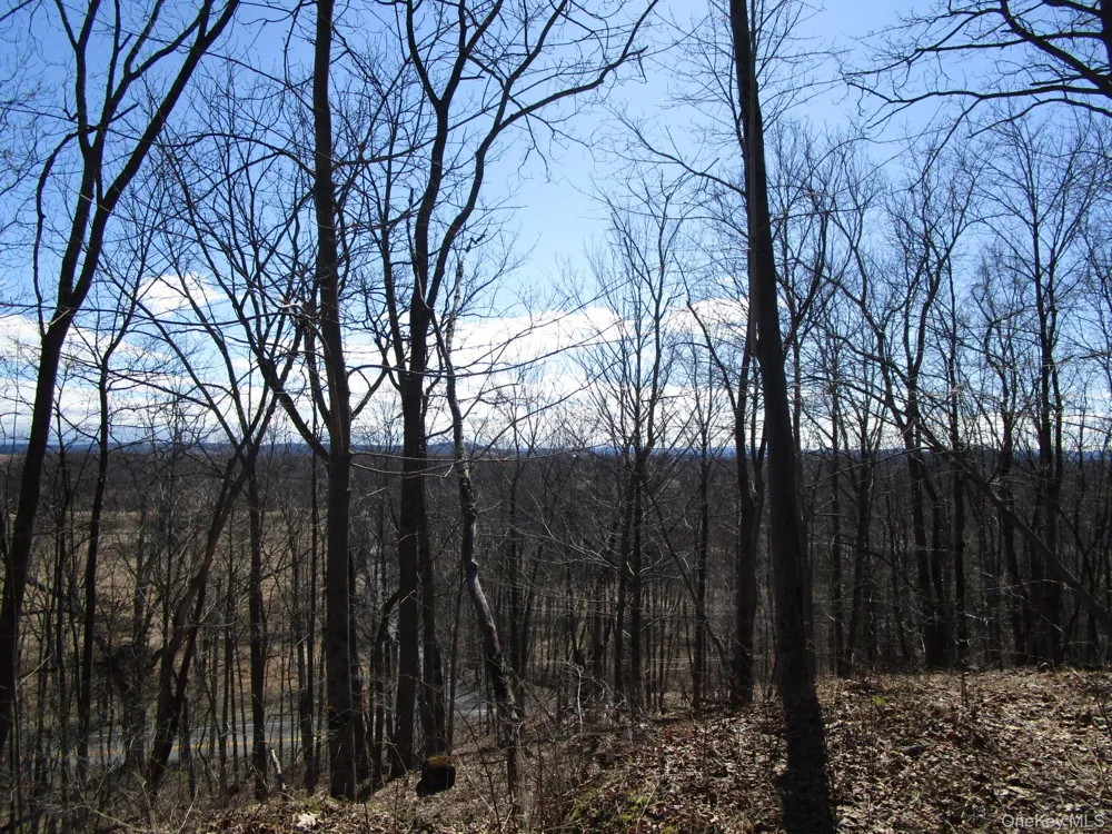 Co Rt 12 New Hampton, NY 10958