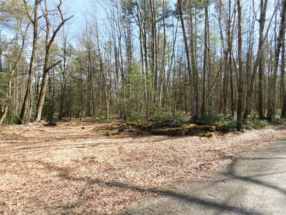 TBD Wright Rd Kerhonkson, NY 12446