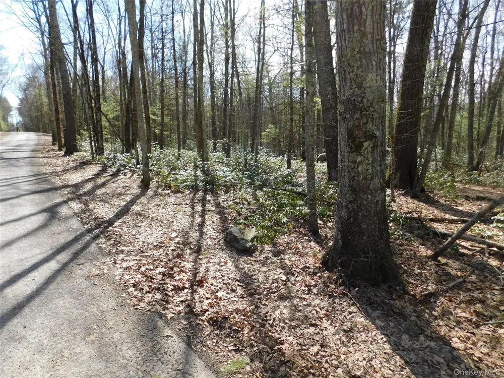 TBD Wright Rd Kerhonkson, NY 12446